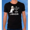 T-shirt  "Labrador"